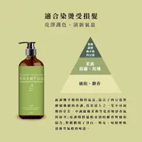 在飛比找momo購物網優惠-【O`Lise 歐黎絲】雅致綠茶洗髮精1000ML*2瓶