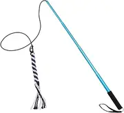 Funny Chasing Dog Toy Interactive Dog Toys Extendable Flirt Pole Squeaky Mental Exercise for Small Dogs