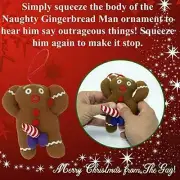 Super Dirty Disgustingly Naughty Gingerbread Man Ornaments