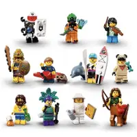 在飛比找蝦皮商城優惠-LEGO 71029 人偶抽抽包系列 第21代人偶抽抽包【必