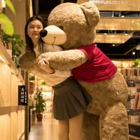 在飛比找樂天市場購物網優惠-毛絨玩具大熊公仔特大號超大布娃娃女生日禮物抱抱熊泰迪熊貓玩偶