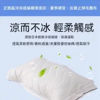 在飛比找蝦皮購物優惠-涼感枕頭套 枕頭套 枕頭墊 冰涼墊 枕頭保潔墊 涼感 冰涼 