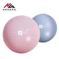 在飛比找蝦皮商城優惠-瑜珈球 煥變塑形球 加厚防爆彈力球 抗力球 韻律球 平衡球 