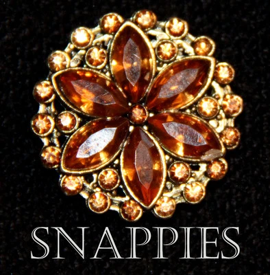 Snappies LARGE TOPAZ MAGNETIC Western Hunt collar pin HORSEMANSHIP TRAIL HALTER