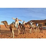 Save 15.00%! 5 Day Tour from Casablanca To Marrakech Via Desert Dunes