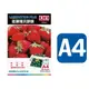 雄獅 A4 護貝膠膜 (50張 ) LFO-A4