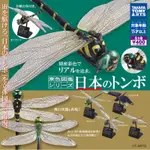日本原色圖鑑 昆蟲 蜻蜓系列