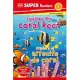 DK Super Readers Level 1: Bilingual Explore the Coral Reef