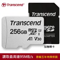 在飛比找神腦生活優惠-Transcend 創見256GB USD300S micr