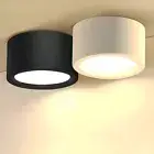 Modern LED Flush Mounted Downlight Nordic Style Lamp Fixture Indoor Lighting