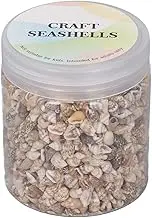 1 Can Tiny Sea Shells Mixed Ocean Floral Arranging Vase Fillers Beach Seashells Conch Craft for Decoration Beach Theme Party DIY Crafts