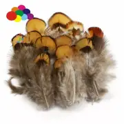 Natural Premium yellow with Black Pattern Pheasant Feather 4-7cm/2-3inch Feather