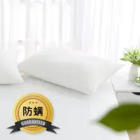 在飛比找momo購物網優惠-【MONTAGUT】防蹣防水透氣枕頭套(2入)