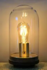 Thomas Edison - Retro Mancave Lamp