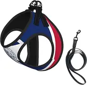 Wyoming State Flag print Dog Harness and Leash Set, Reflective Adjustable Puppy Vest for Small Medium Large Dogs, Cats