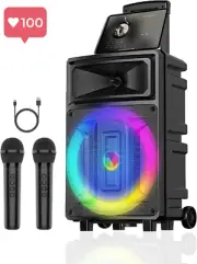 Karaoke Machine with 2 Wireless Microphones, Portable Speaker PA System with Dic