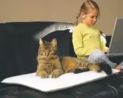Mysterious Purr Padd, Cat Bed 20"x20", 2 Pack, 2 Colors Available NEW