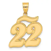 14k Yellow Gold Brushed Border Script Number 22 Pendant