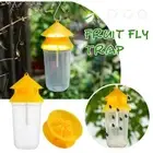 Fruit Fly Trap Killer Yellow Plastic Drosophila Trap F Fly B2M5 Fruit Z4Y6 P7N2