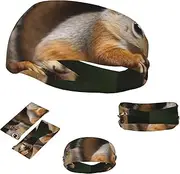 FJWSLCH Squirrel Animal Headbands for Women Men Non Slip Workout Sweatbands Adjustable Sports Hair Bands Elastic Head Bands Moisture Wicking Hairband for Running, Cycling, Yoga, Spa