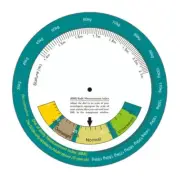 Easy to Carry Wheel Calculator with 150mm Diameter Body Mass Index Measurement