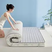 Japanese Futon Mattresses,Foldable Tatami Mat, Floor Mattress,4 Inch Thick,Lounger Guest Bed for Camping Couch LLCDZR(AA,90 * 200cm)