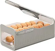 Refrigerator Egg Rack - 2 Layer Automatic Rolling Refrigerator Egg Dispenser, Space Saver Refrigerator Egg Box | Double Layer Side Door Slide Roller Egg Holder, Household Egg Storage Box for Fridge