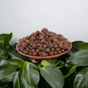 3L Leca Balls Clay Pebbles for Hydroponics & Aquaponics Lightweight Grow Media