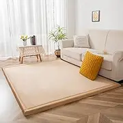 Living Room Home Decor Coral Fleece Area Rug,Modern Nursery Washable Kids Bedroom Rug,Girls Boys Soft Non-Slip Soft Mat,2cm Thick Kids Carpet-B- 80 * 200cm