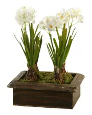 D&W Silks Paperwhites in Rectangle Wood Planter Box NoSize NoColor