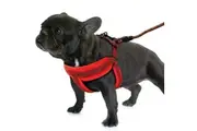 Red Adjustable Dog Harness Leash Set Mesh Pet Puppy Vest Lead For Small Medium Dog