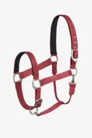 B Vertigo Hardwick Halter - Mineral Red