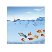 Whimsical Face Towel with Goldfish and Dollar Design - Perfect for Fun Home