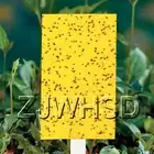 20pcs Yellow Sticky Insect Aphid Whitefly Thrip Gnat Fruitfly Leafminer Trap