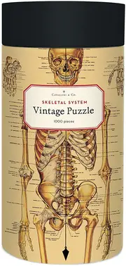 Cavallini - Skeletal System Puzzle 1000pc