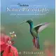 National Audubon Society Guide to Nature Photography: Digital Edition