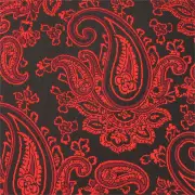 Paisley Red and Black Bow Tie