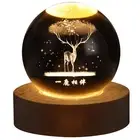 Romantic 3D Engraved Crystal Globe Night Light with Wooden Base USB Charged