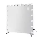 Makeup Mirror With Light Led Hollywood Mounted Wall Mirrors