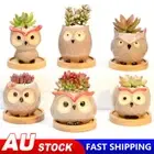 Mini Ceramic Plant Pot Cute Owl Succulent Flower Planter Bonsai Box Home Garden