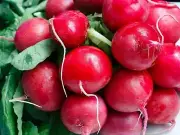 Radish, Cherry Belle - Heirloom Vegetable by Life-Force Seeds Australia