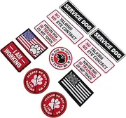 IWOWHERO 12Pcs Embroidered Themed Patches for Clothes Backpacks DIY Decorative Patches Durable Outdoor Accessories Easy Application Unique Designs