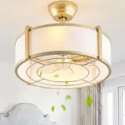 20" Gold Fandelier Ceiling Fans with Lights, Boho Rattan Chandelier Ceiling Fan