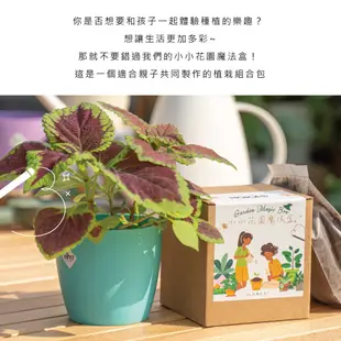 【HOKAS】植物小盆栽 教具 小小花園魔法盒 辦公室綠化 園藝用品