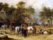 A FARMYARD Horses Accent Tile Mural Kitchen Bathroom Wall Backsplash 8x6