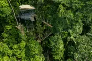 Zipline Canopy Tour - Cape Tribulation