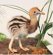 [HANSA] Cassowary Baby Plush Toy, 16 cm Height, Multi-Colour