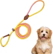 Pet Strap for Dogs - Puppy Walk Strap Nylon Rope No Pull - Anti-Slip High-Strength Outdoor Small Medium Dogs Accessories for Walking, Camping