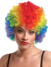 Bright Rainbow Clown Afro Costume Wig