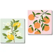 2 Pack Framed Paint by Numbers Kit for KidsEasy Acrylic Paint by BKH86+BKH87